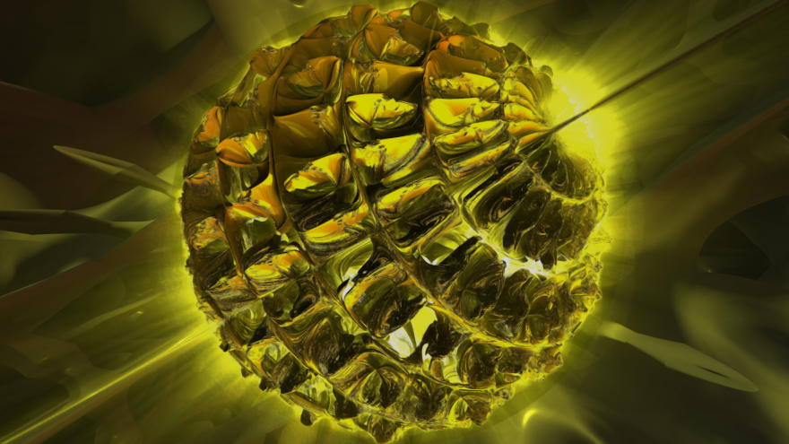 Pedantic Ochre