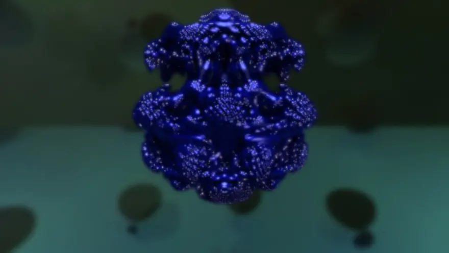 Polymeritus